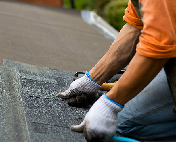 Best Roof Gutter Cleaning  in Dover Plains, NY